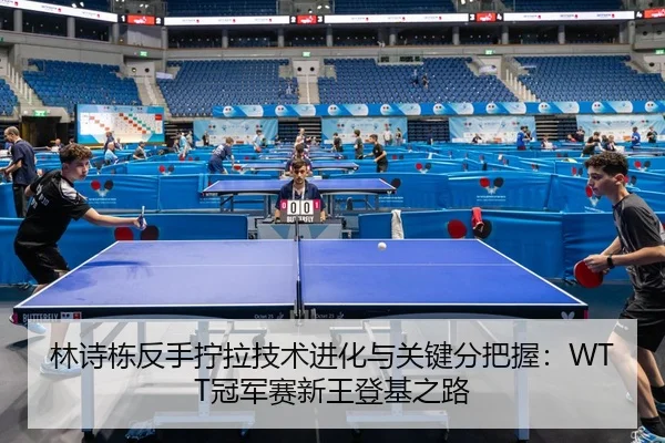 lin-shi-dong-fan-shou-ning-la-ji-shu-jin-hua-yu-guan-jian-fen-ba-wo-guan-jun-sai-xin-wang-deng-ji-zhi-lu-2-496.jpg