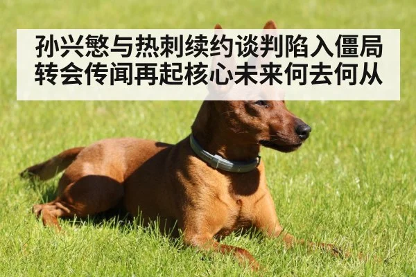 孙兴慜与热刺续约谈判陷入僵局 转会传闻再起核心未来何去何从